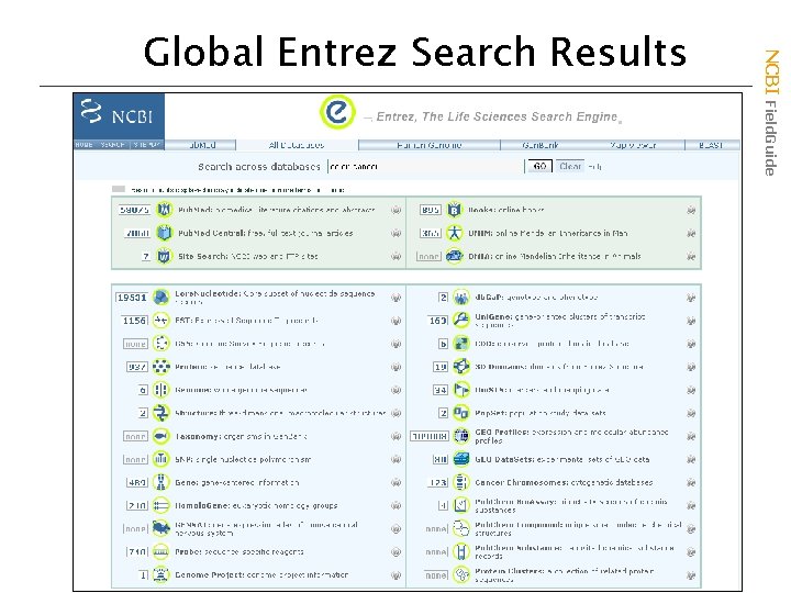 NCBI Field. Guide Global Entrez Search Results 