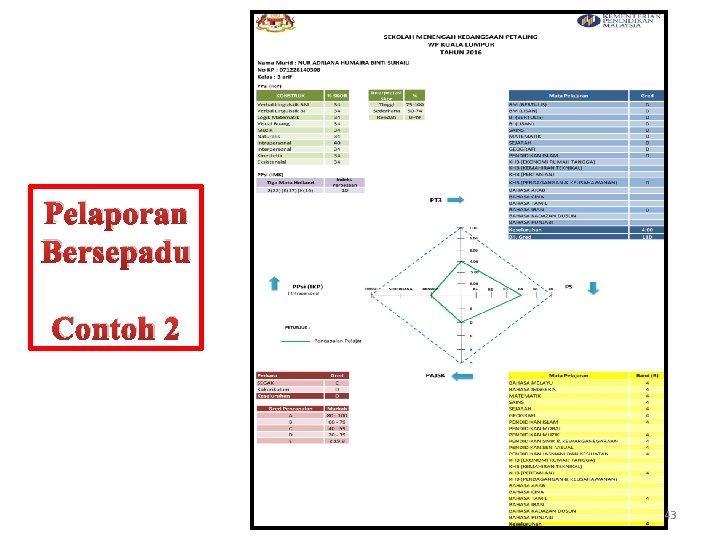 Pelaporan Bersepadu Contoh 2 43 