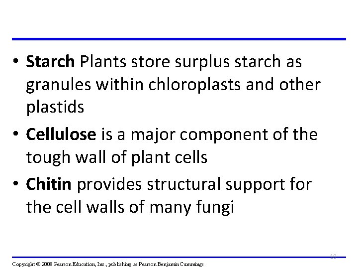  • Starch Plants store surplus starch as granules within chloroplasts and other plastids