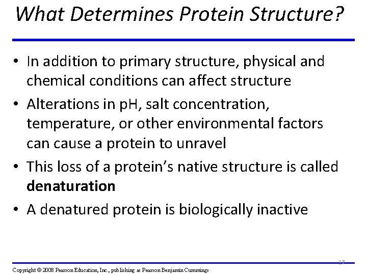 What Determines Protein Structure? • In addition to primary structure, physical and chemical conditions