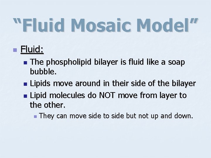 “Fluid Mosaic Model” n Fluid: The phospholipid bilayer is fluid like a soap bubble.