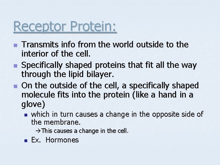 Receptor Protein: n n n Transmits info from the world outside to the interior