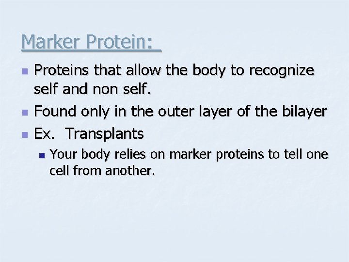 Marker Protein: n n n Proteins that allow the body to recognize self and