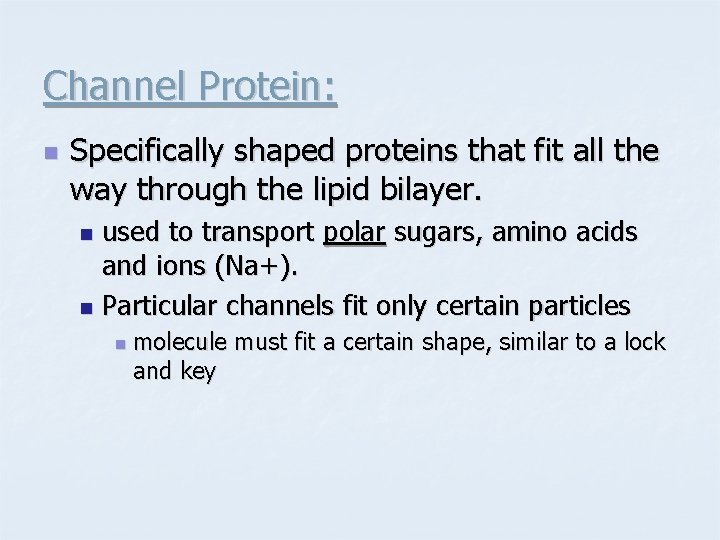 Channel Protein: n Specifically shaped proteins that fit all the way through the lipid