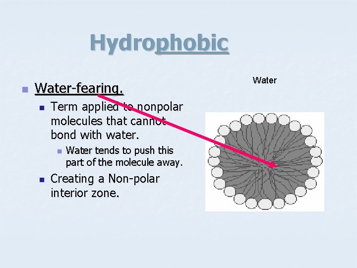 Hydrophobic n Water-fearing. n Term applied to nonpolar molecules that cannot bond with water.