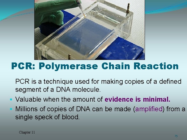 PCR: Polymerase Chain Reaction PCR is a technique used for making copies of a