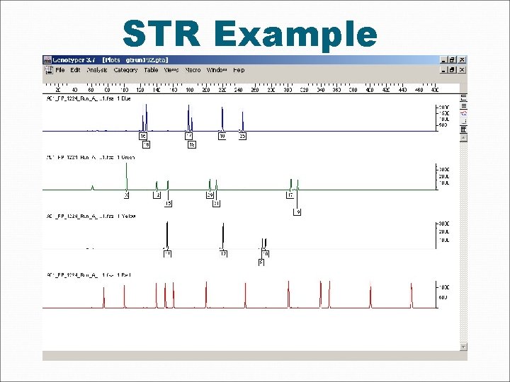 STR Example 