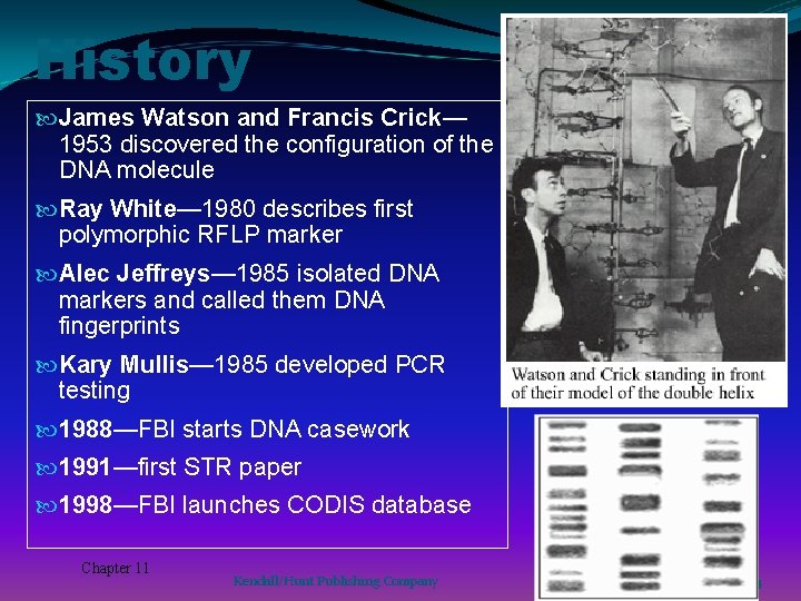 History James Watson and Francis Crick— 1953 discovered the configuration of the DNA molecule