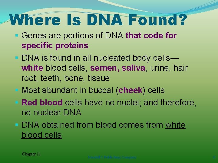 Where Is DNA Found? § Genes are portions of DNA that code for specific