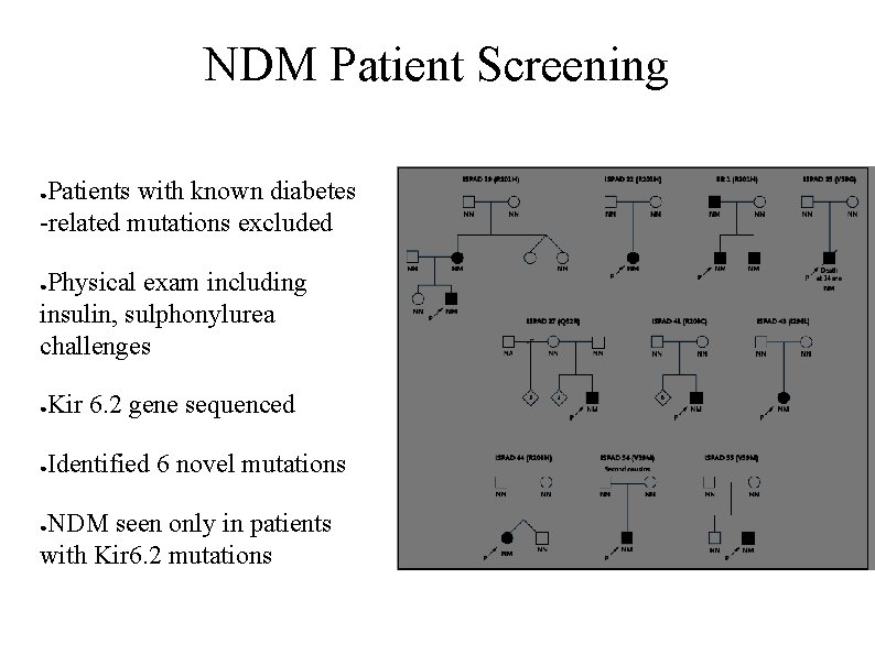 NDM Patient Screening Patients with known diabetes -related mutations excluded ● Physical exam including
