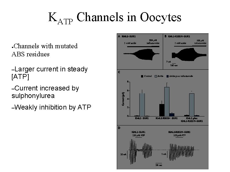 KATP Channels in Oocytes Channels with mutated ABS residues ● –Larger [ATP] current in