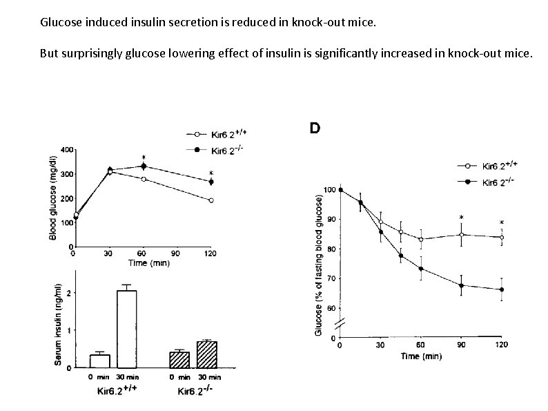 Glucose induced insulin secretion is reduced in knock-out mice. But surprisingly glucose lowering effect