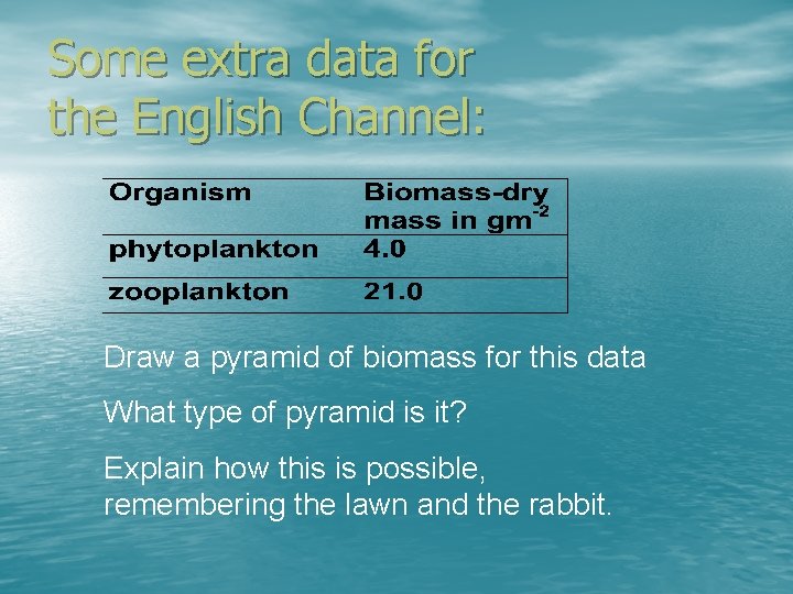 Some extra data for the English Channel: Draw a pyramid of biomass for this