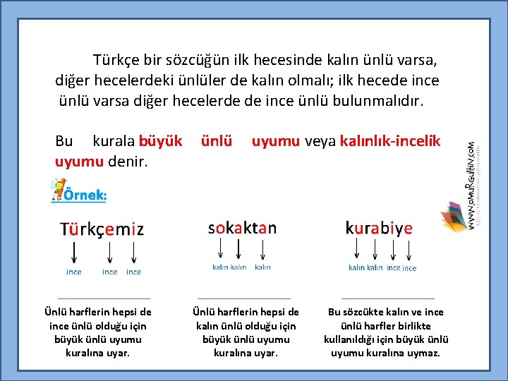 Türkçe bir sözcüğün ilk hecesinde kalın ünlü varsa, diğer hecelerdeki ünlüler de kalın olmalı;