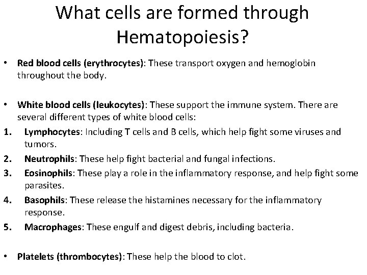 What cells are formed through Hematopoiesis? • Red blood cells (erythrocytes): These transport oxygen