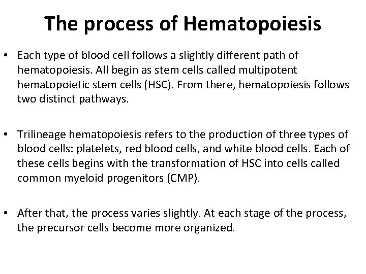 The process of Hematopoiesis • Each type of blood cell follows a slightly different