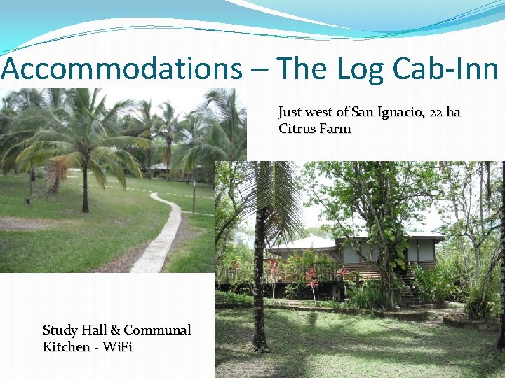 Accommodations – The Log Cab-Inn Just west of San Ignacio, 22 ha Citrus Farm