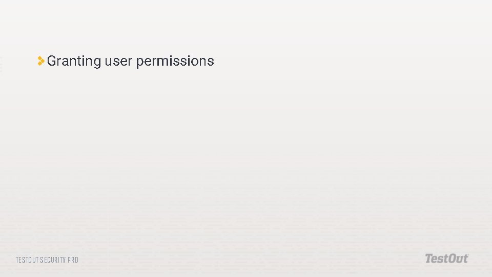 Granting user permissions TESTOUT SECURITY PRO 