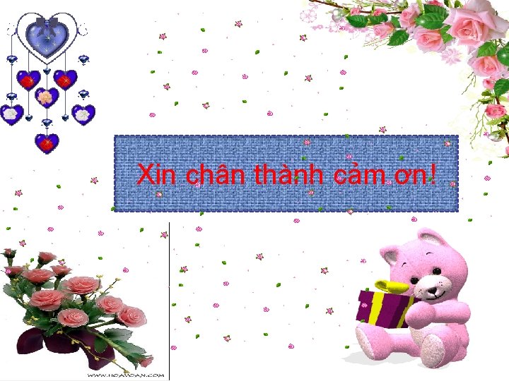 Xin chân thành cảm ơn! 