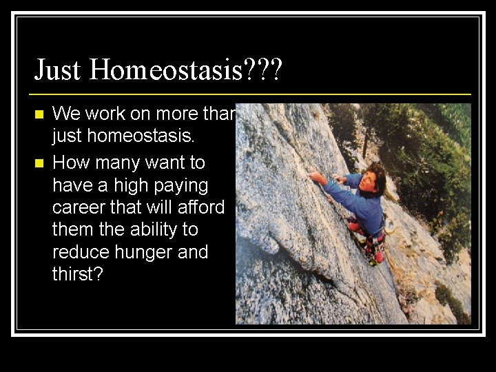 Just Homeostasis? ? ? n n We work on more than just homeostasis. How