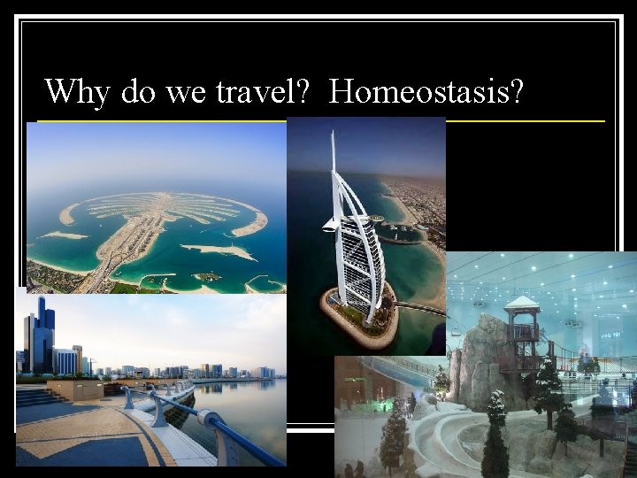 Why do we travel? Homeostasis? 