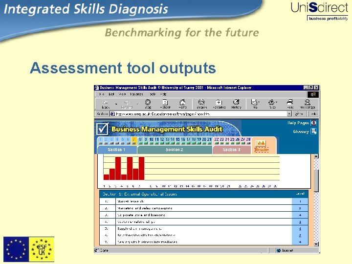 Assessment tool outputs 