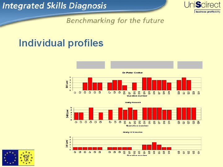 Individual profiles 