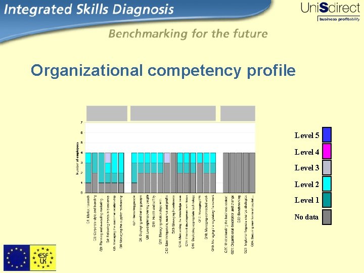 Organizational competency profile Level 5 Level 4 Level 3 Level 2 Level 1 No