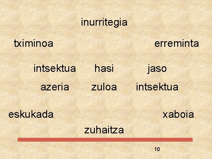 inurritegia tximinoa erreminta intsektua hasi jaso azeria zuloa intsektua eskukada xaboia zuhaitza 10 