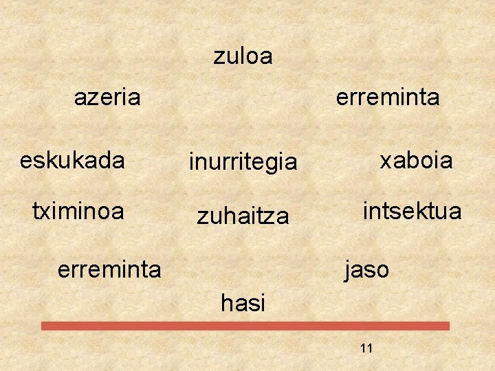 zuloa azeria erreminta eskukada inurritegia xaboia tximinoa zuhaitza intsektua erreminta jaso hasi 11 