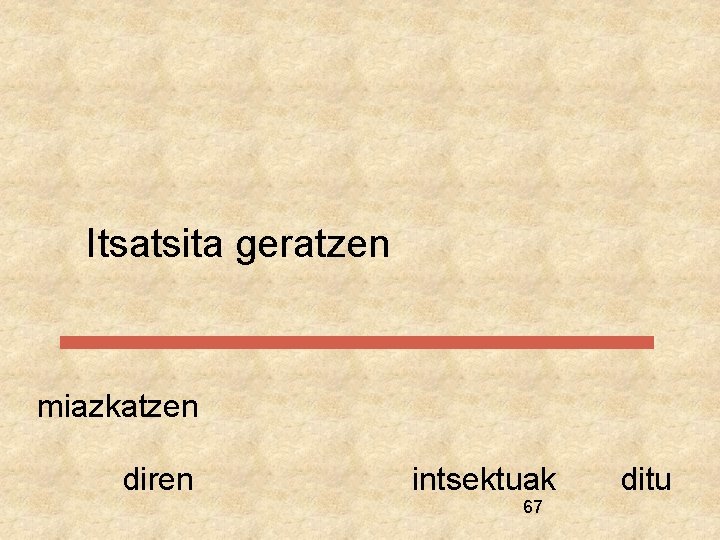 Itsatsita geratzen miazkatzen diren intsektuak 67 ditu 