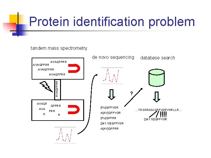 Protein identification problem tandem mass spectrometry de novo sequencing AVAQFPRR database search AVAQFPRR AVAQF