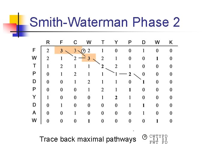 Smith-Waterman Phase 2 Trace back maximal pathways 