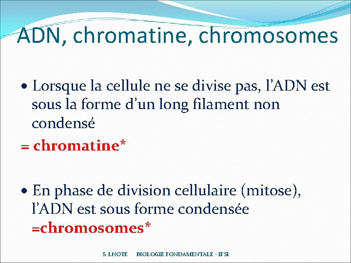 ADN, chromatine, chromosomes Lorsque la cellule ne se divise pas, l’ADN est sous la ADN, chromatine, chromosomes Lorsque la cellule ne se divise pas, l’ADN est sous la