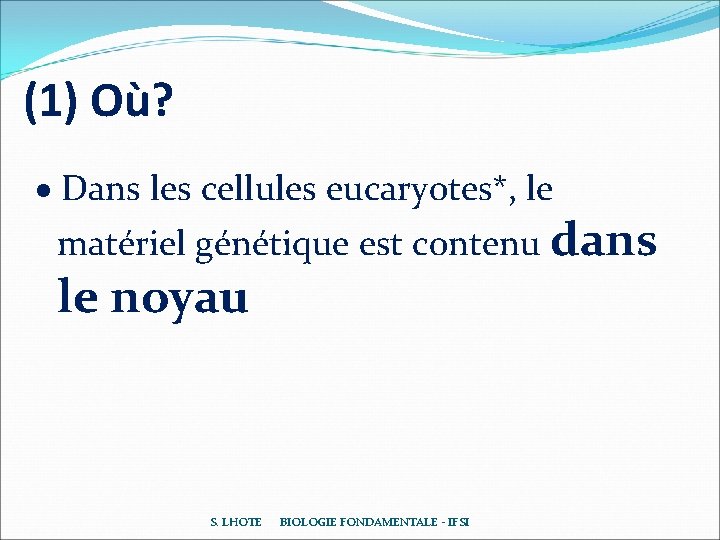 (1) Où? Dans les cellules eucaryotes*, le matériel génétique est contenu dans le noyau (1) Où? Dans les cellules eucaryotes*, le matériel génétique est contenu dans le noyau