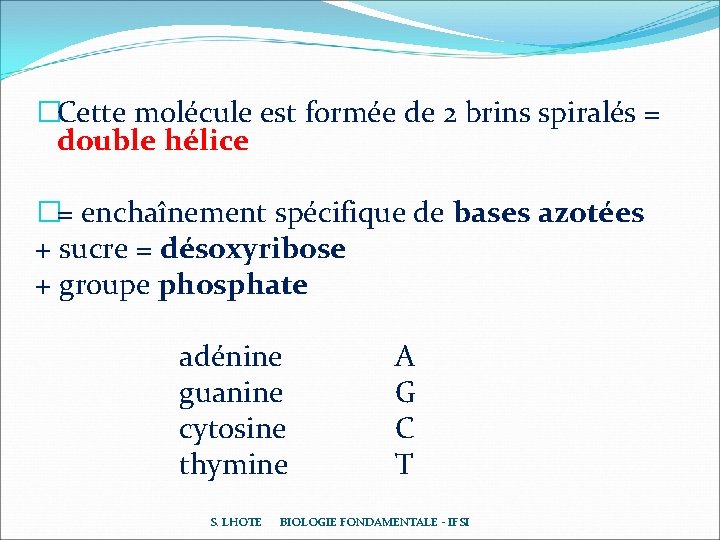 �Cette molécule est formée de 2 brins spiralés = double hélice �= enchaînement spécifique �Cette molécule est formée de 2 brins spiralés = double hélice �= enchaînement spécifique