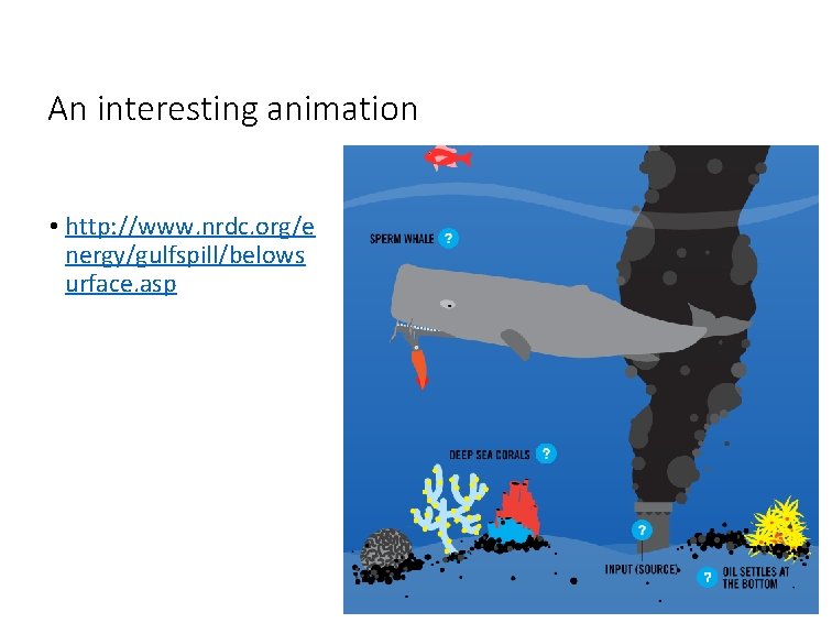 An interesting animation • http: //www. nrdc. org/e nergy/gulfspill/belows urface. asp 