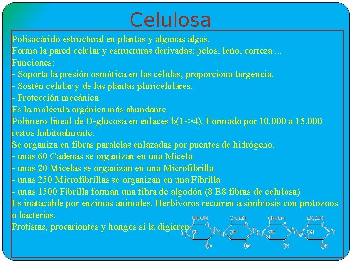 Celulosa Polisacárido estructural en plantas y algunas algas. Forma la pared celular y estructuras