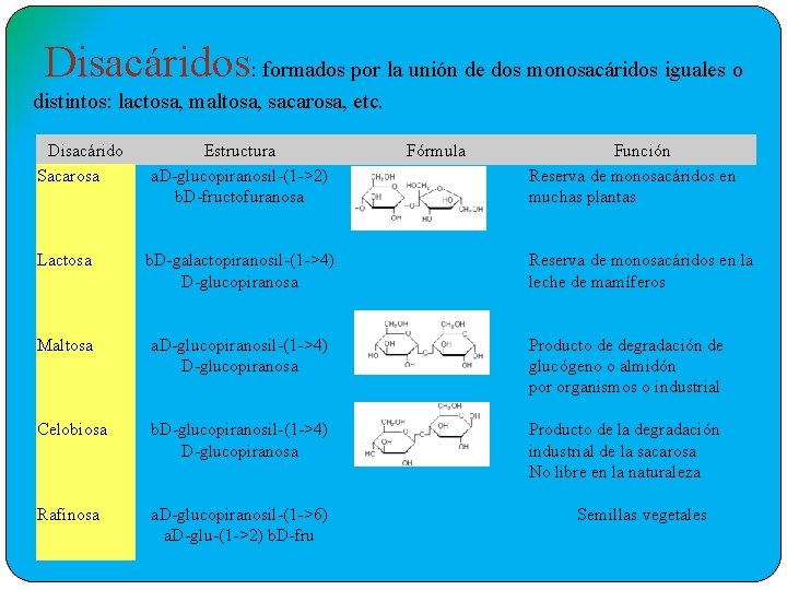 Disacáridos: formados por la unión de dos monosacáridos iguales o distintos: lactosa, maltosa, sacarosa,