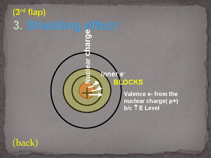 (3 rd flap) Nuclear charge 3. Shielding effect + (back) Inner e. BLOCKS Valence