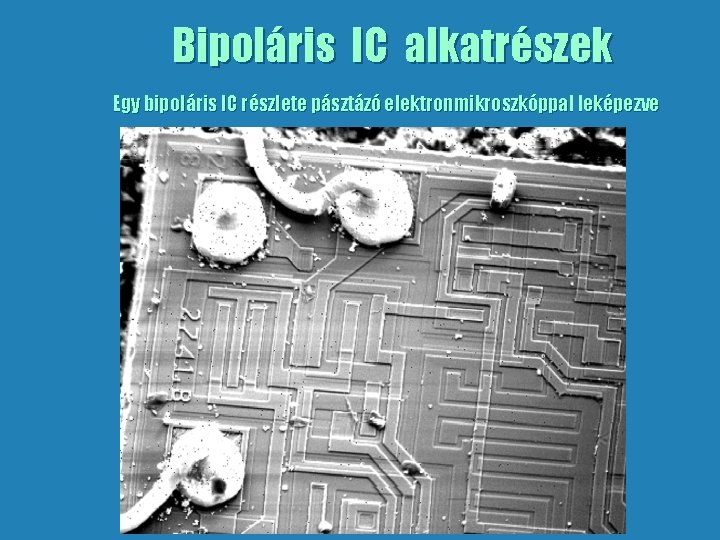 Bipoláris IC alkatrészek Egy bipoláris IC részlete pásztázó elektronmikroszkóppal leképezve 