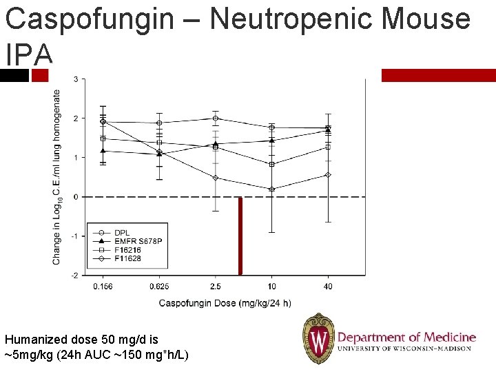 Caspofungin – Neutropenic Mouse IPA Humanized dose 50 mg/d is ~5 mg/kg (24 h