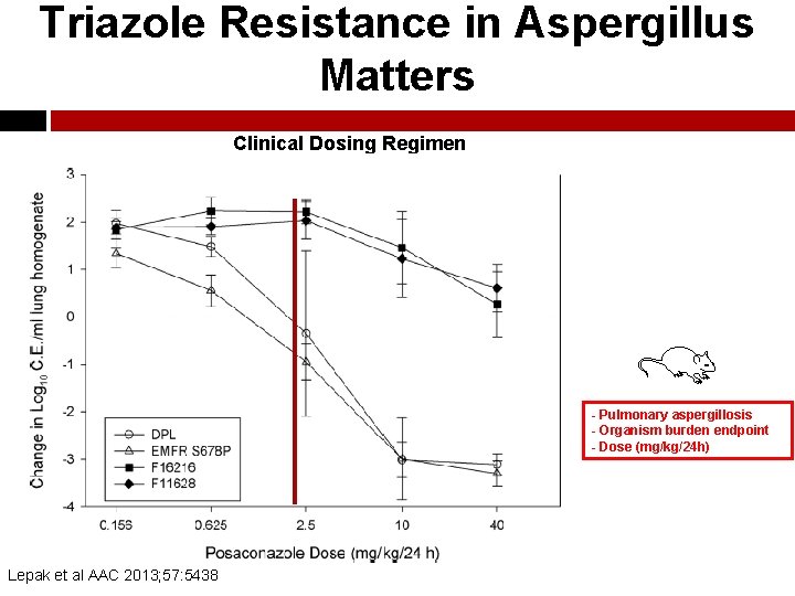 Triazole Resistance in Aspergillus Matters Clinical Dosing Regimen - Pulmonary aspergillosis - Organism burden