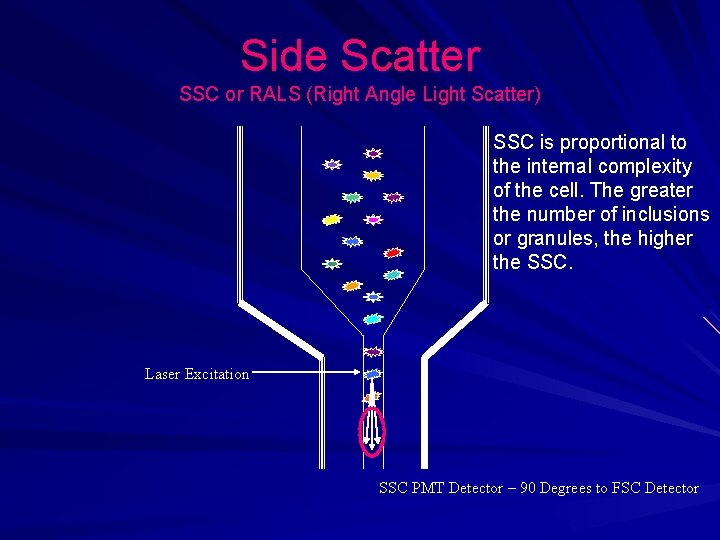 Side Scatter SSC or RALS (Right Angle Light Scatter) SSC is proportional to the