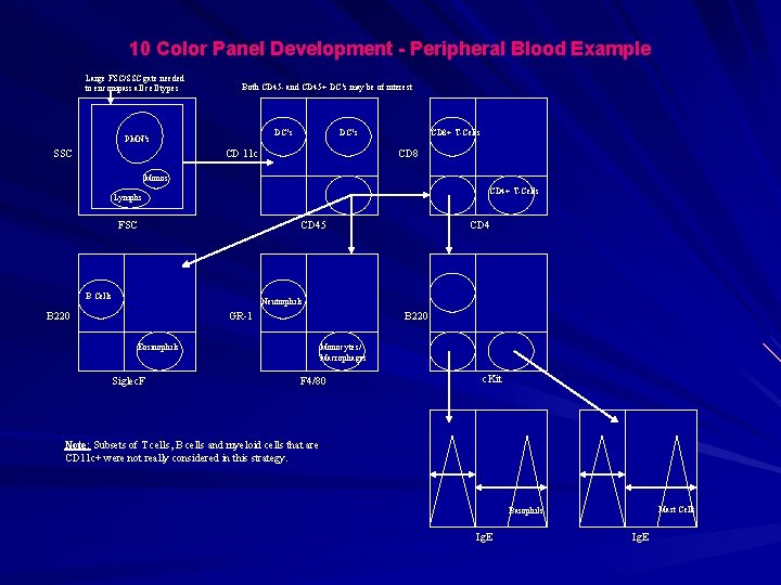 10 Color Panel Development - Peripheral Blood Example Large FSC/SSC gate needed to encompass