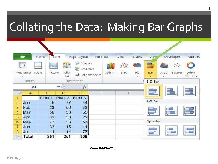 8 Collating the Data: Making Bar Graphs www. qimacros. com IAEB: Boylan 