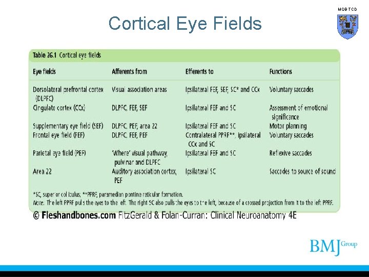 MOB TCD Cortical Eye Fields 