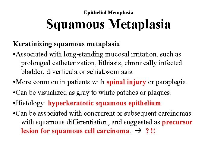 Epithelial Metaplasia Squamous Metaplasia Keratinizing squamous metaplasia • Associated with long-standing mucosal irritation, such