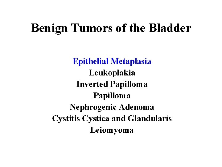 Benign Tumors of the Bladder Epithelial Metaplasia Leukoplakia Inverted Papilloma Nephrogenic Adenoma Cystitis Cystica