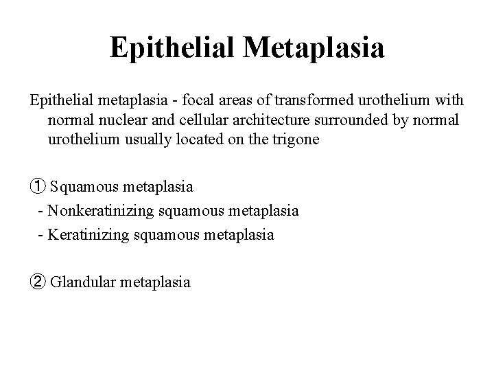 Epithelial Metaplasia Epithelial metaplasia - focal areas of transformed urothelium with normal nuclear and